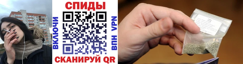 Купить  Западная Двина  Бутират буратино 