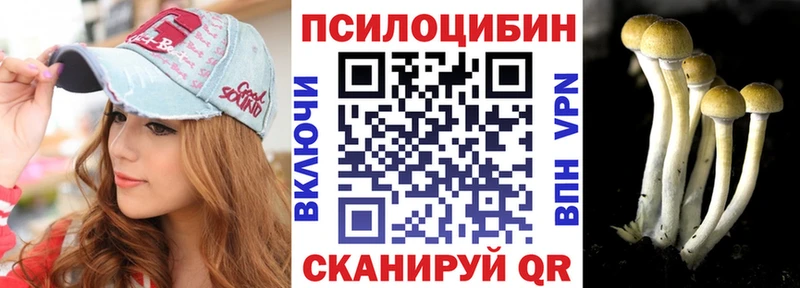 Галлюциногенные грибы Psilocybe Западная Двина