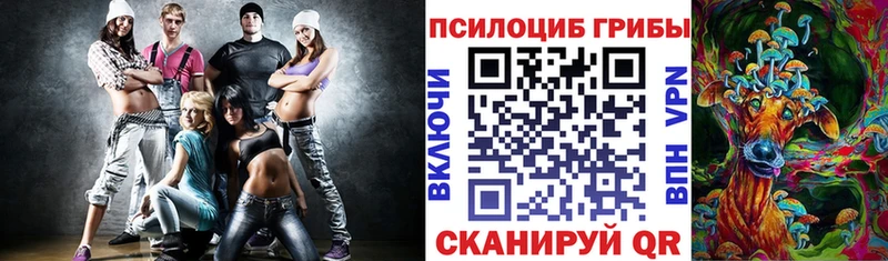 Купить закладки  Западная Двина  Галлюциногенные грибы Cubensis 